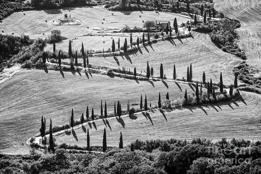 Summer Photograph - Tuscany in black and white by Delphimages Photo Creations