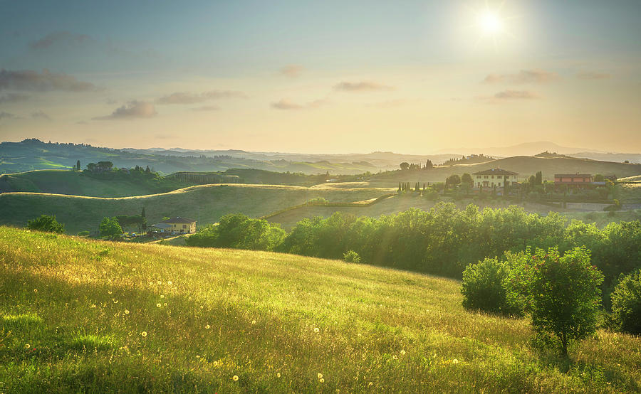 Tuscany, landscape in Certaldo Photograph by Stefano Orazzini