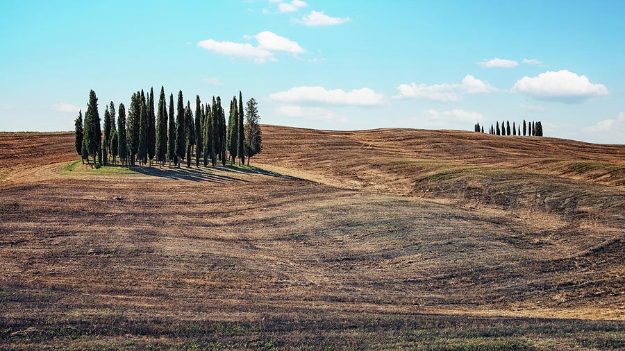 Nature Photograph - Tuscany Landscape by Manjik Pictures