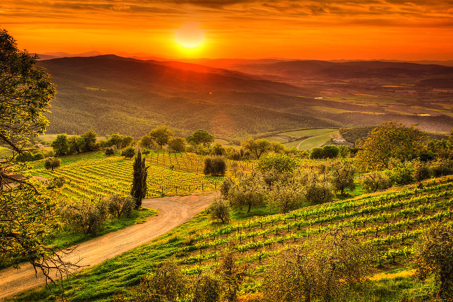 Tuscany Landscape with Vineyards at Sunset, Chianti Region, Val dOrcia Photograph by Zodebala
