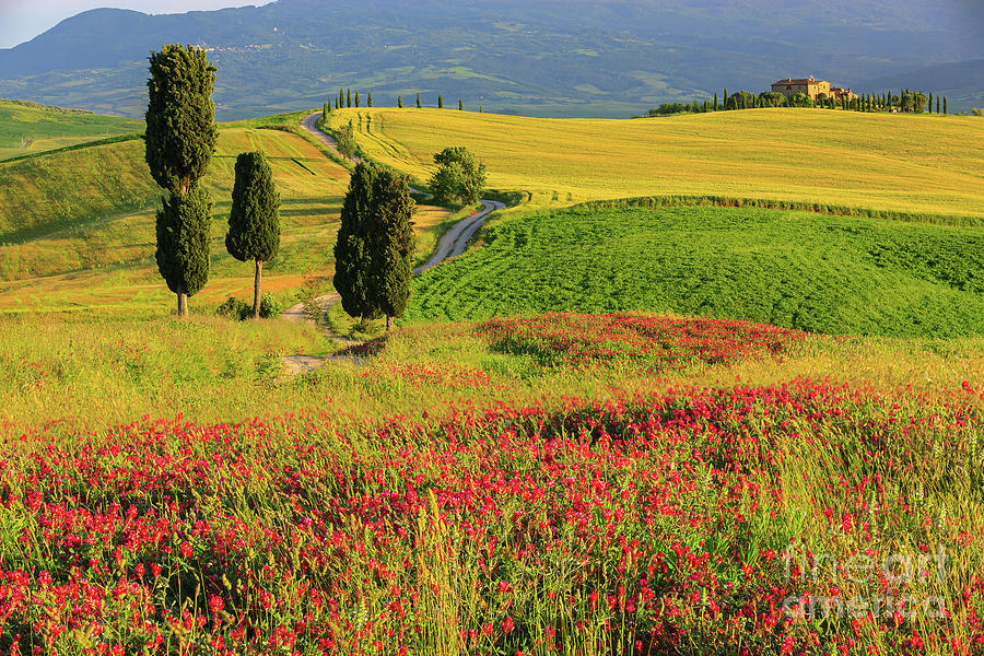 Tuscany Landscapes 1 Photograph