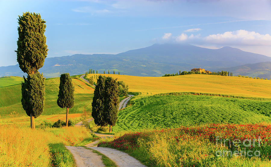 Tuscany Landscapes 4 Photograph by Henk Meijer Photography