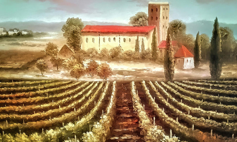 Tuscany Villa and Vineyard Photograph by Donna Kennedy