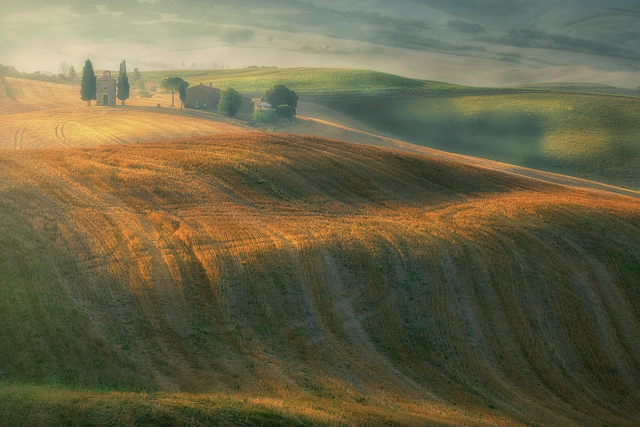 Tuscany Wheat Field Photograph by Celia Zhen
