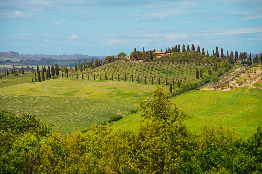 Tuscany Photograph by Yulia Dobrovolskaya - Fine Art America