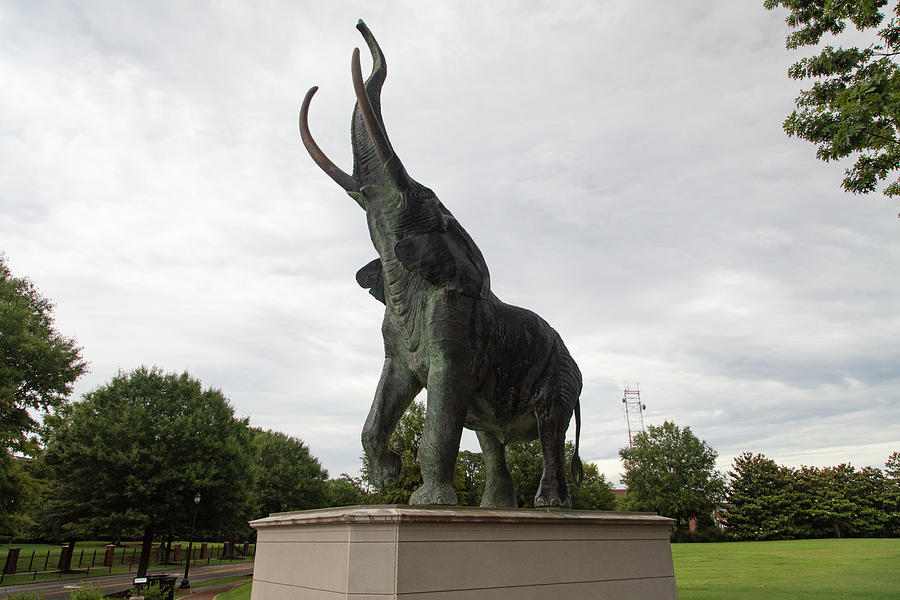 Tuska the Elephant statue at the University of Alabama Photograph by