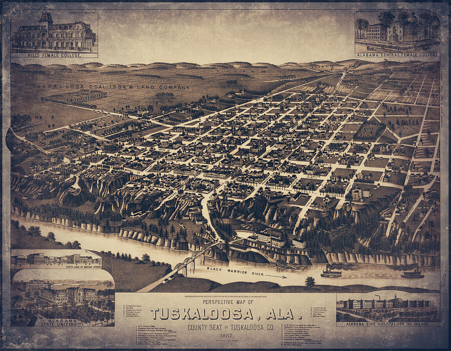 Tuskaloosa Alabama Vintage Map Birds Eye View 1887 Sepia Photograph by ...