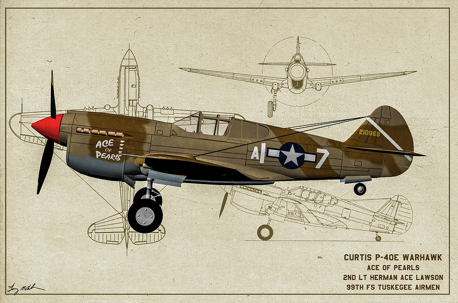 Tuskegee P-40 Warhawk Ace of Peals - Profile Art Digital Art by Tommy Anderson