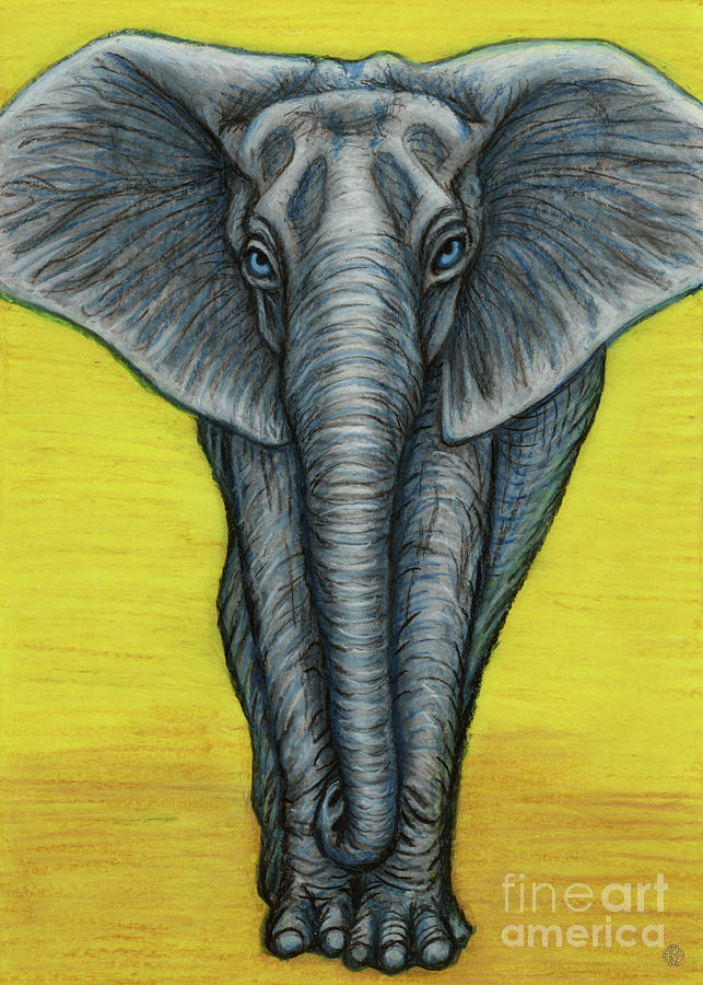 Tuskless African Female Elephant Painting by Amy E Fraser