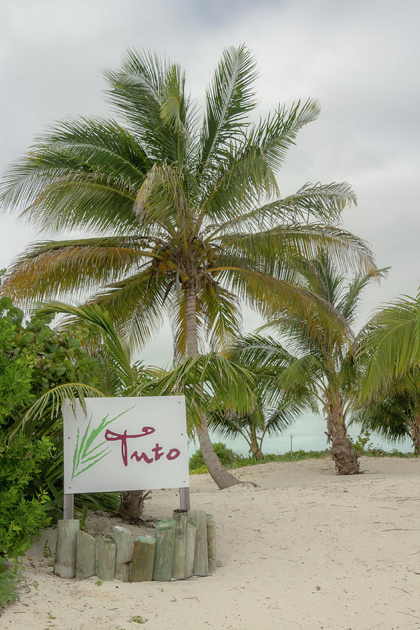 Tuto Island, Belize 4 Photograph by Cindy Robinson