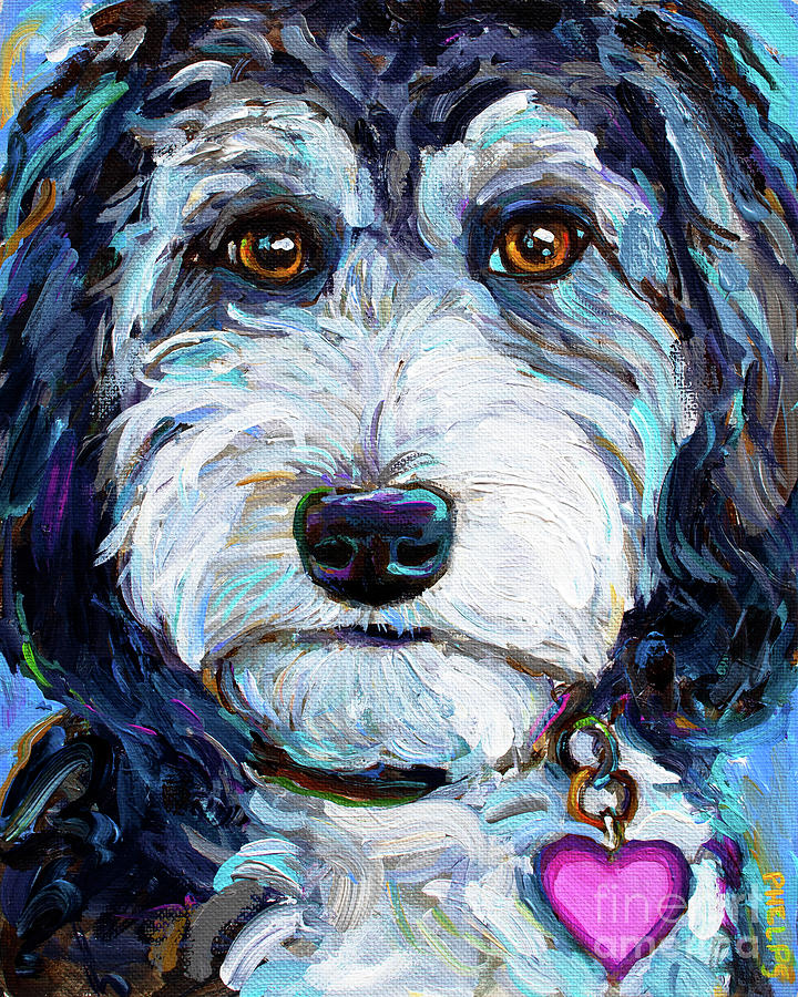 Tuxedo Aussiedoodle Painting by Robert Phelps - Pixels