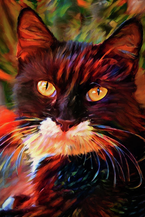 Tuxedo Cat Art Digital Art by Peggyollins