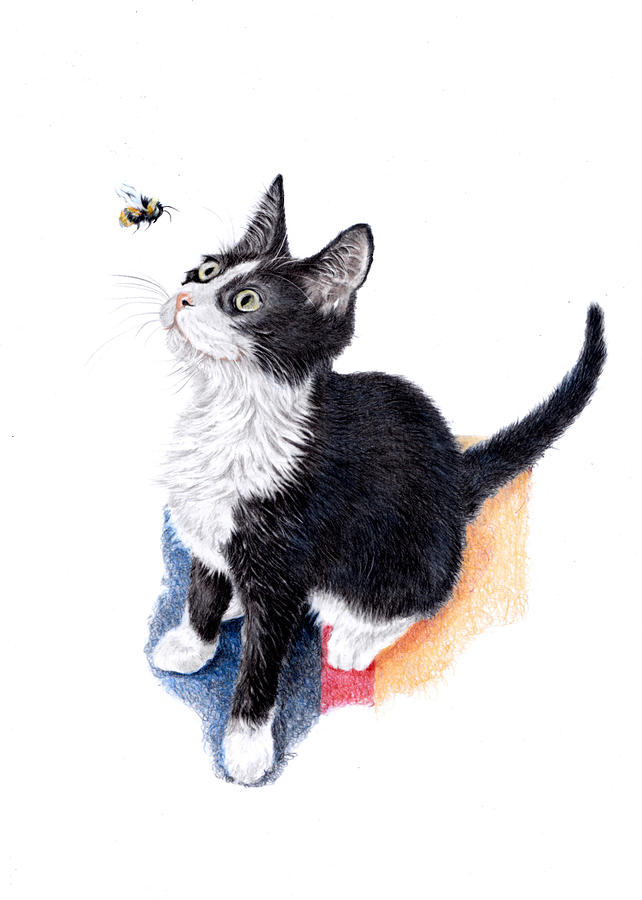 Tuxedo Cat - Bee Happy Ever After Painting by Debra Hall