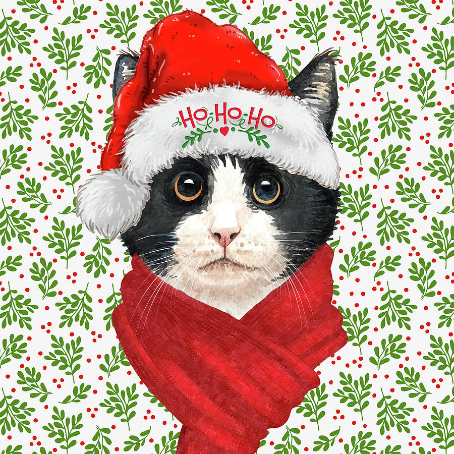 Tuxedo Cat Christmas Digital Art by Doreen Erhardt