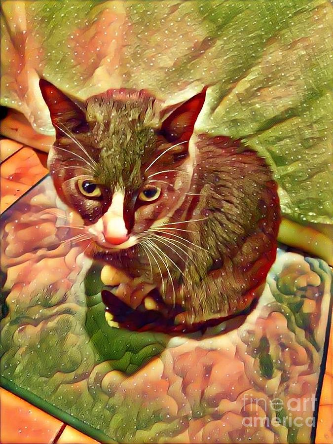 Tuxedo Cat Digital Art by Genevieve Esson