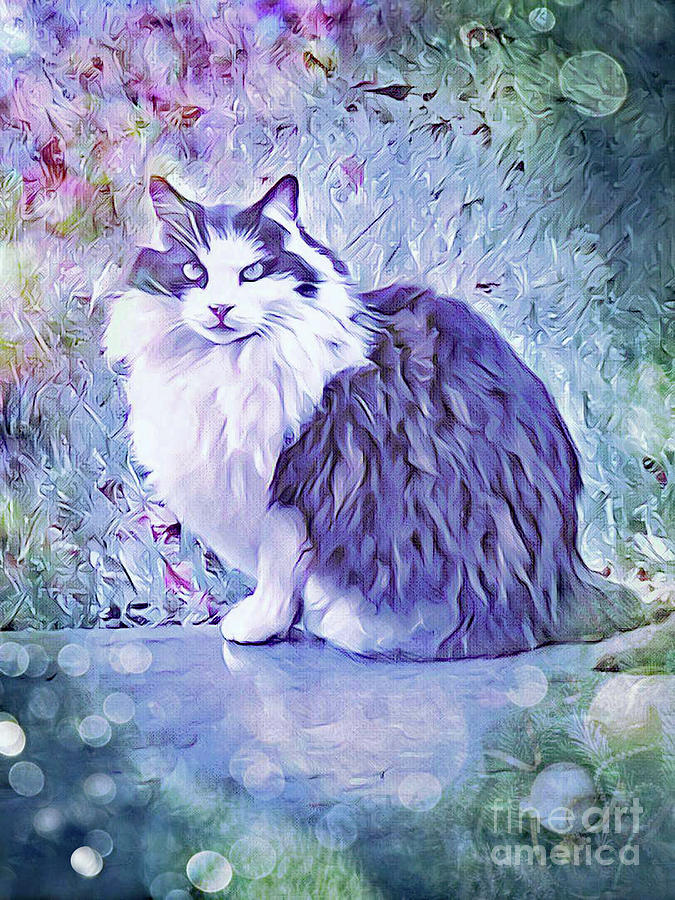 Tuxedo Cat Digital Art by Tina Uihlein