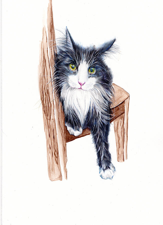 Tuxedo Cat - That Look Painting by Debra Hall