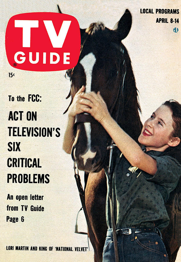 Horse Photograph - TV Guide TVGC001 H5460 by TV Guide Everett Collection