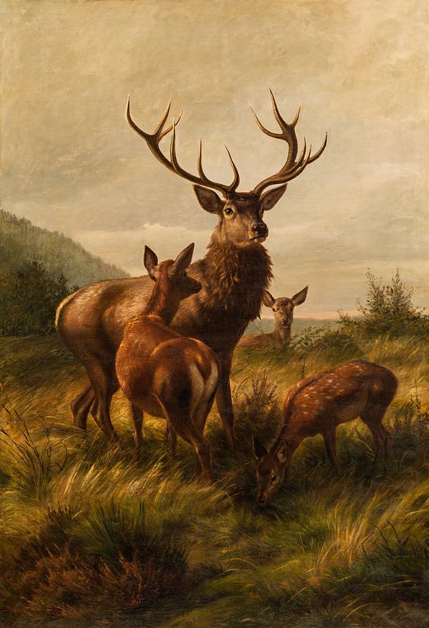 Animal Painting - Twelve Fenders With Deer by Mountain Dreams