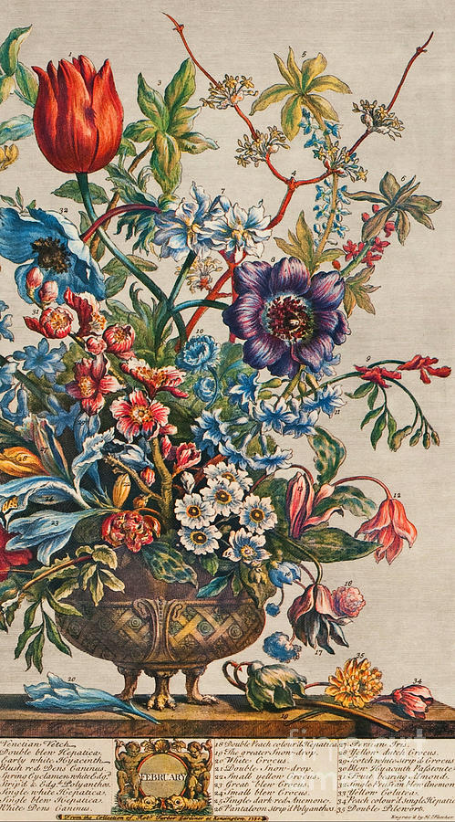 Twelve Months of Flowers February Elegant Eighteenth Century Dutch Bouquet Painting by Peter Ogden