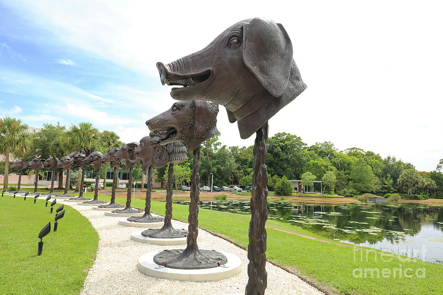 Twelve Sculptures of Chinese Zodiac Signs At Ringling Museum Photograph by Felix Lai