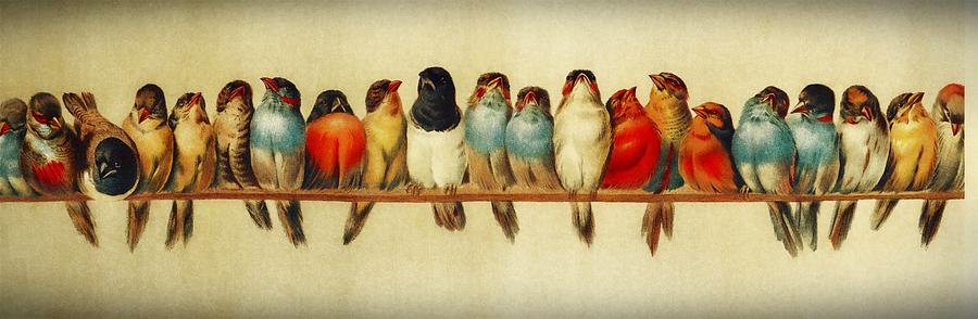 Twenty One Birds on A Perch Painting by Movie Poster Prints