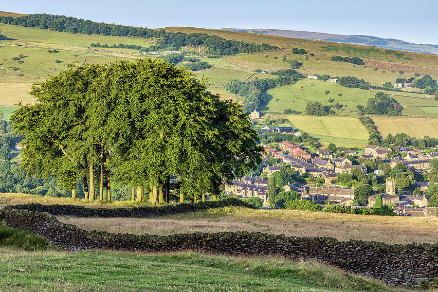 Twenty Trees, High Peak, Hayfield Photograph by Jim Monk Fine Art America