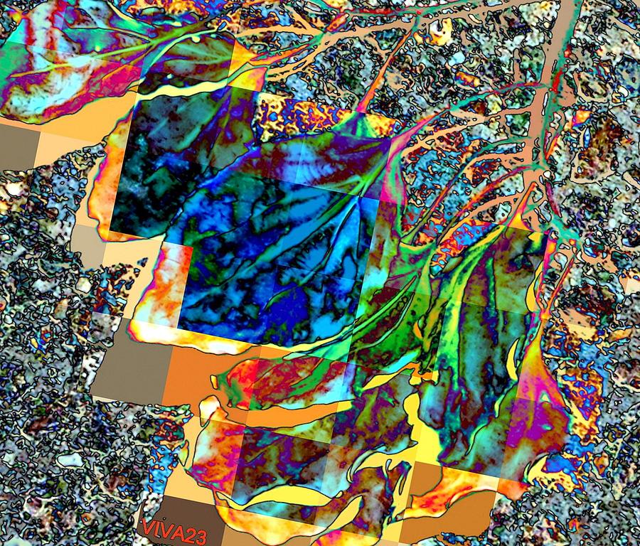 Twig-leaves-fallen-abstract Digital Art by VIVA Anderson