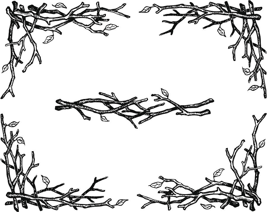 Twigs Drawing by Animatedfunk