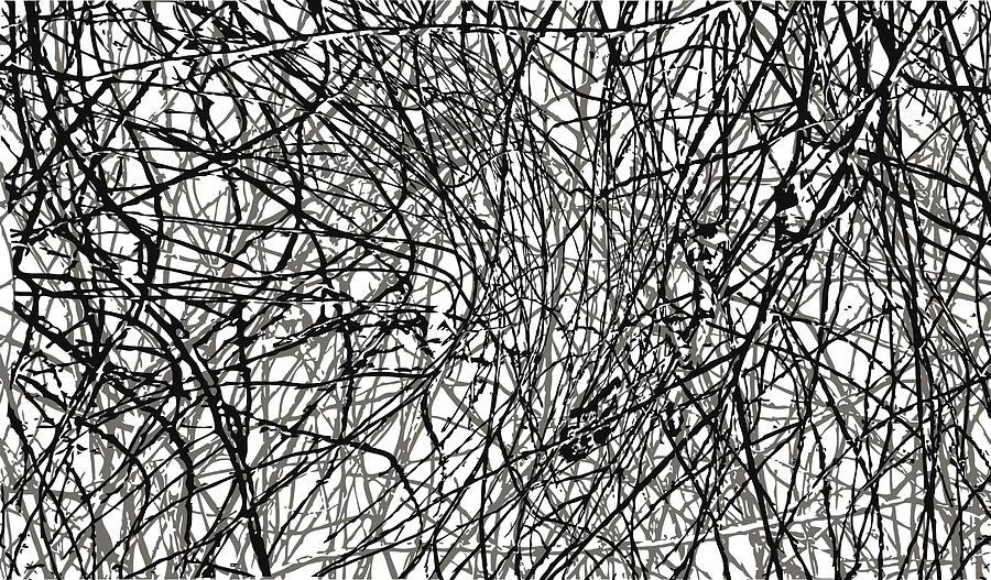 Twigs Textured Background Drawing by GeorgePeters