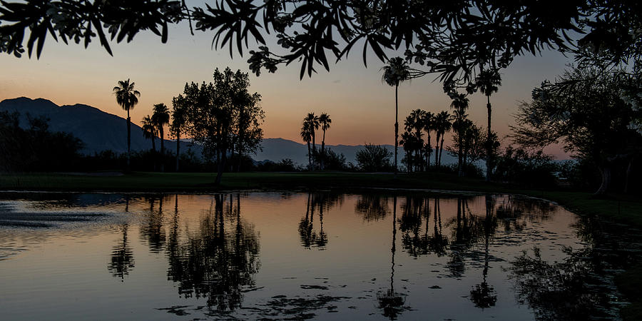 Twilight at Ironwood CC Pond, Palm Desert, California Photograph by Bonnie Colgan