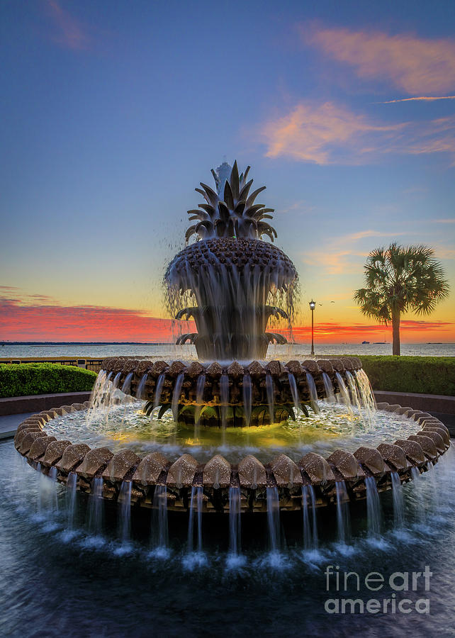 Twilight at PIneapple Fountain Photograph by Inge Johnsson