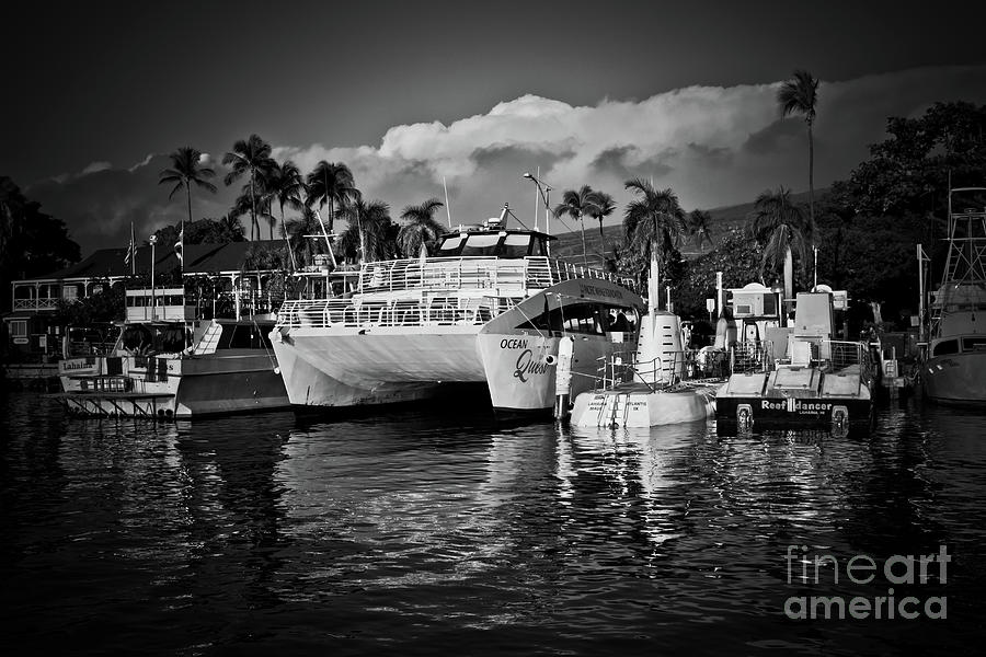 Twilight at the Marina Photograph by Sharon Mau