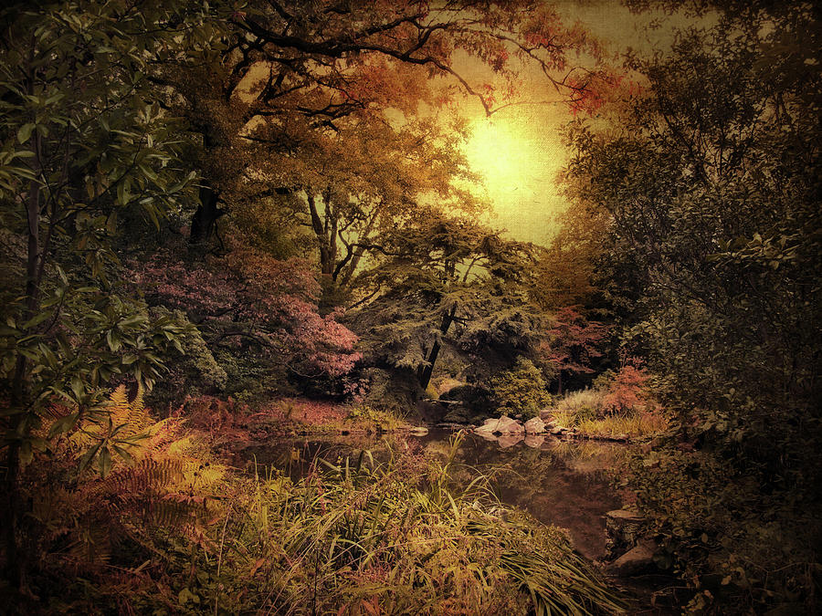 Twilight Autumn Garden Photograph by Jessica Jenney