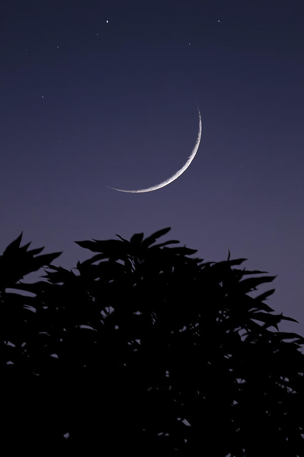 Twilight Crescent Moon Photograph
