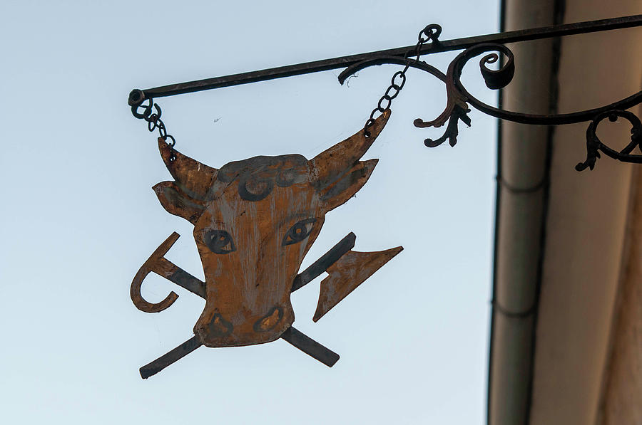 Twilight Durnstein. Forged Sign with Cow Head 1 Photograph by Jenny Rainbow