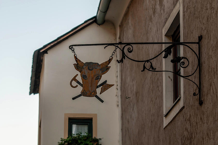 Twilight Durnstein. Forged Sign with Cow Head Photograph by Jenny Rainbow