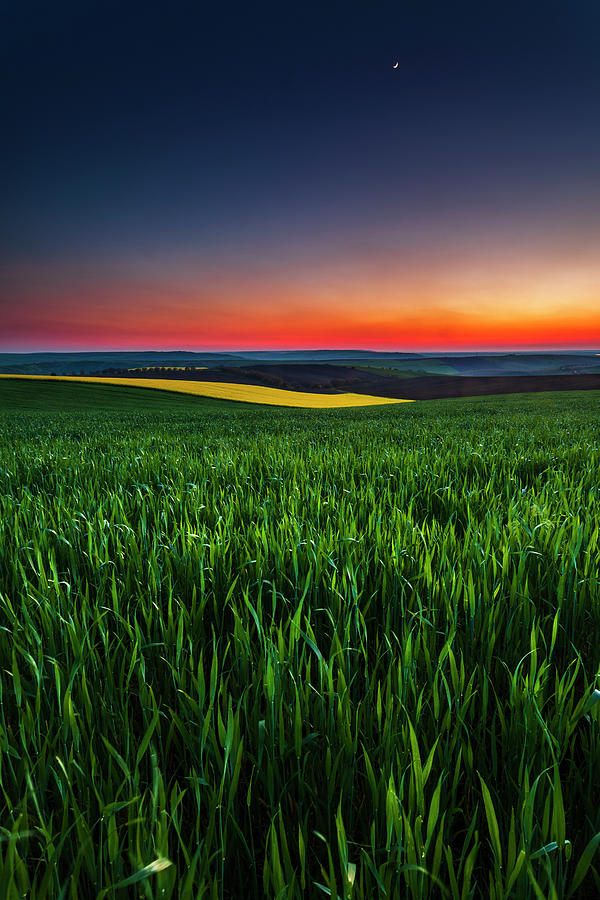 Spring Photograph - Twilight Fields by Evgeni Dinev