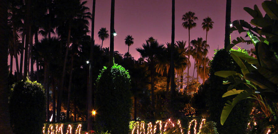 Twilight in Beverly Hills Photograph by Eyes Of CC