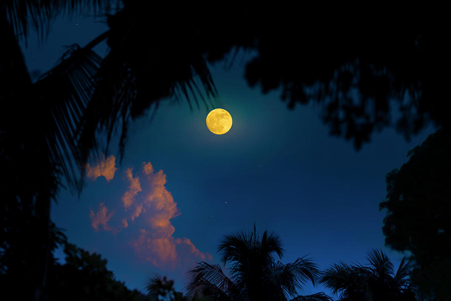 Twilight Moon Photograph by Mark Andrew Thomas