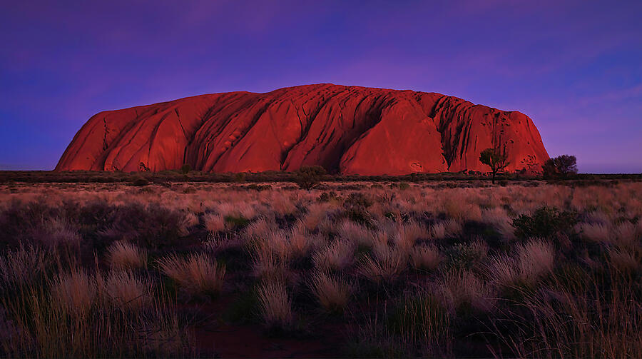 Twilight on Uluru Photograph by Lexa Harpell