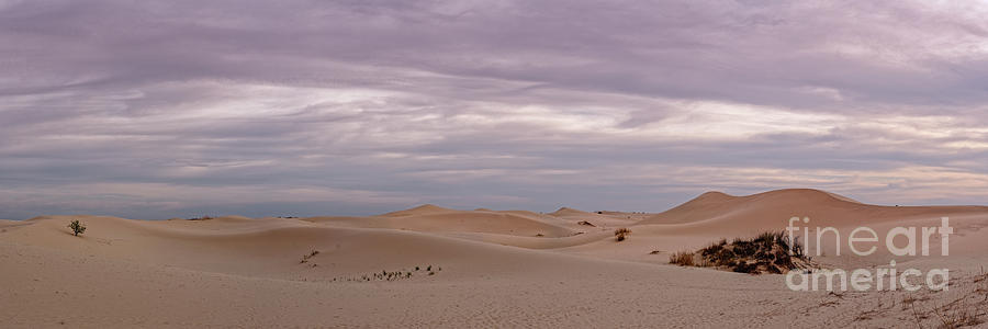 Twilight Panorama of Sand Dunes at Monahans Sandhills State Park - Monahans West Texas Photograph by Silvio Ligutti