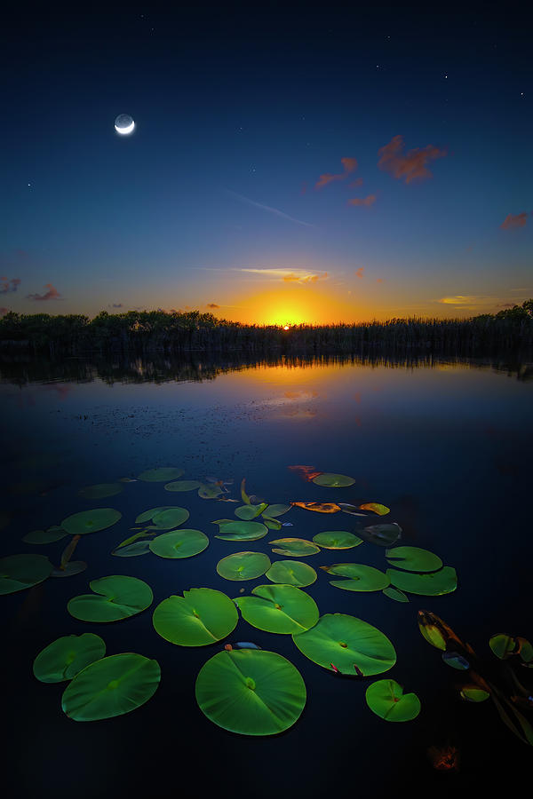 Twilight Serenade Photograph by Mark Andrew Thomas