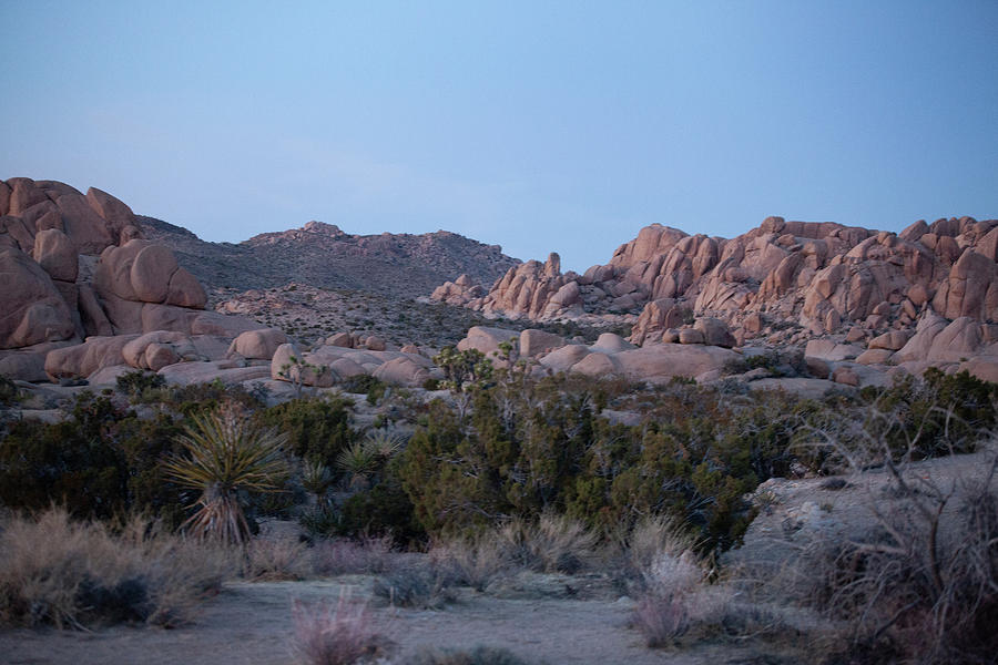 Desert Photograph - Twilight Zone by John Heywood Desert Photograph - Twilight Zone by John Heywood