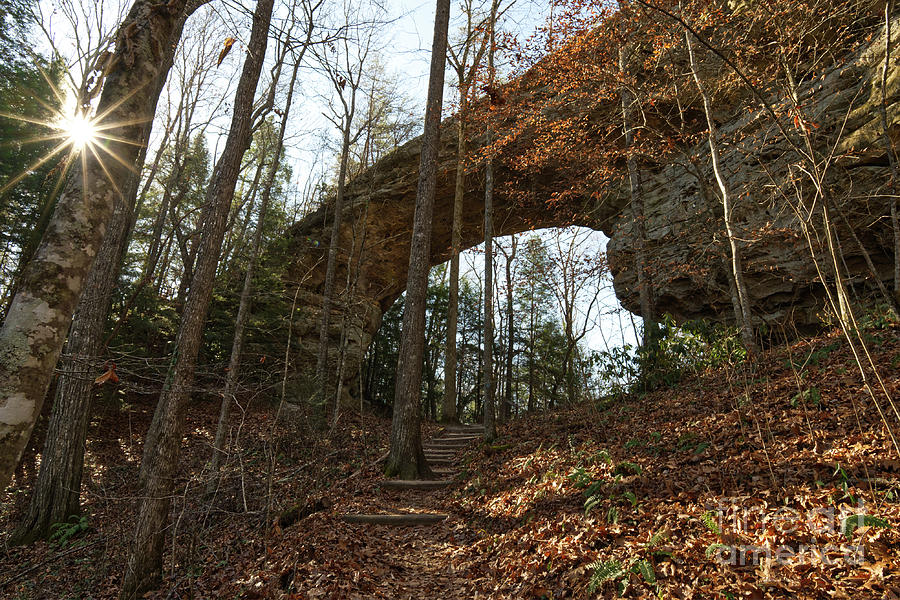 Twin Arches 4 Photograph by Phil Perkins Twin Arches 4 Photograph by Phil Perkins