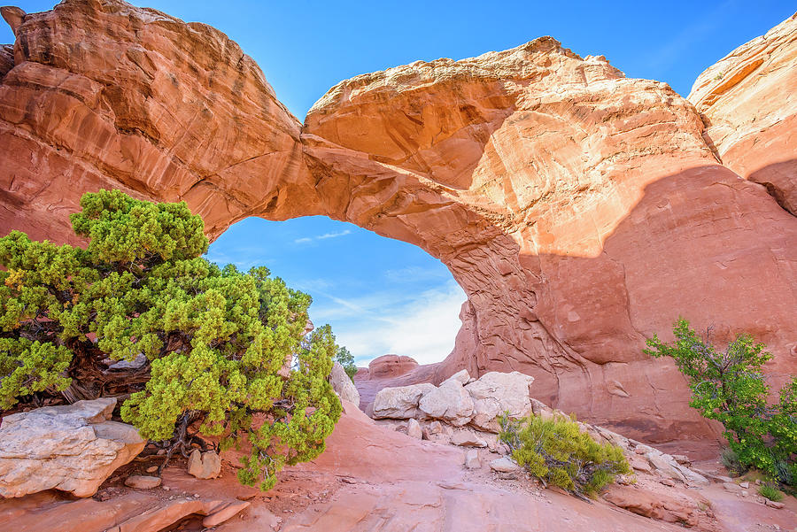 Arches National Park Photograph - Twin Arches by Marla Brown