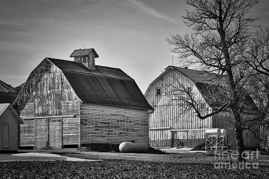 Twin Barns In Black And White Photograph by Kirt Tisdale