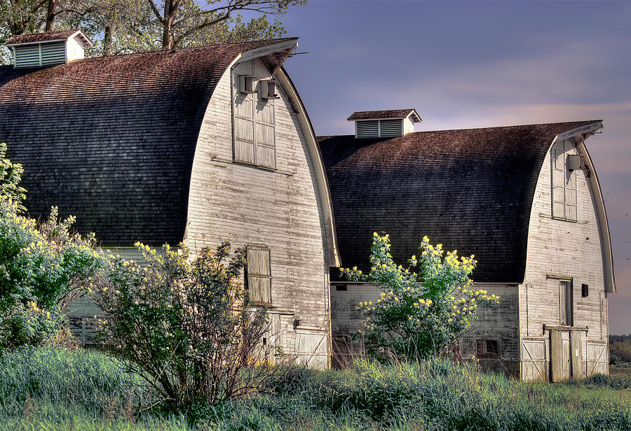 Twin Barns Photograph Photograph by Greg Sigrist