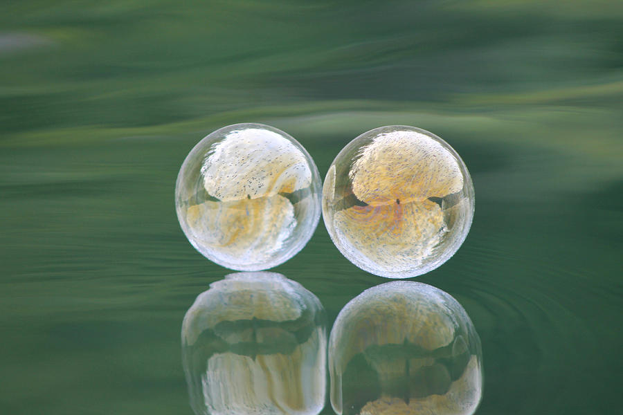 Twin Bubbles on Green Photograph by Cathie Douglas