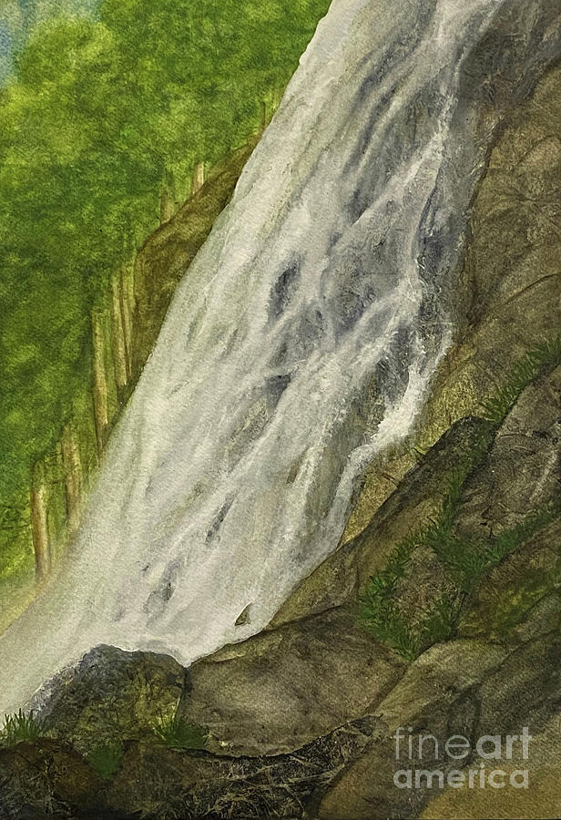 Twin Falls Painting by Lisa Neuman